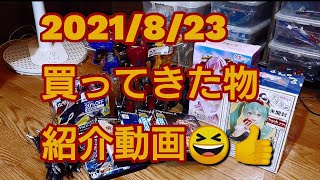 2021/8/23に買ってきた物紹介動画♪&孤独の晩酌⁉️【DX戦隊ロボット、ウルトラ怪獣ソフビ、シン・ゴジラ、初音ミク・フィギュア、PS2ソフトなどなど…。】