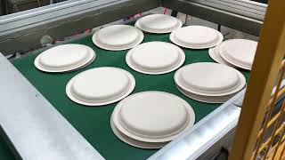 #Biodegradable #Compostable #Disposable #Sugarcane Bagasse Plates