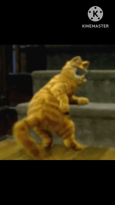 #funny #cat #pets #animal #funnyvideo #youtubeshorts #cute #shortsvideo #cat loves