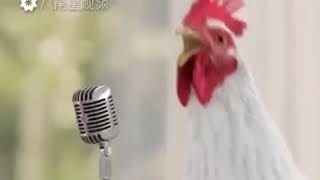 بق بق بق بق بق ههههههه screenshot 3