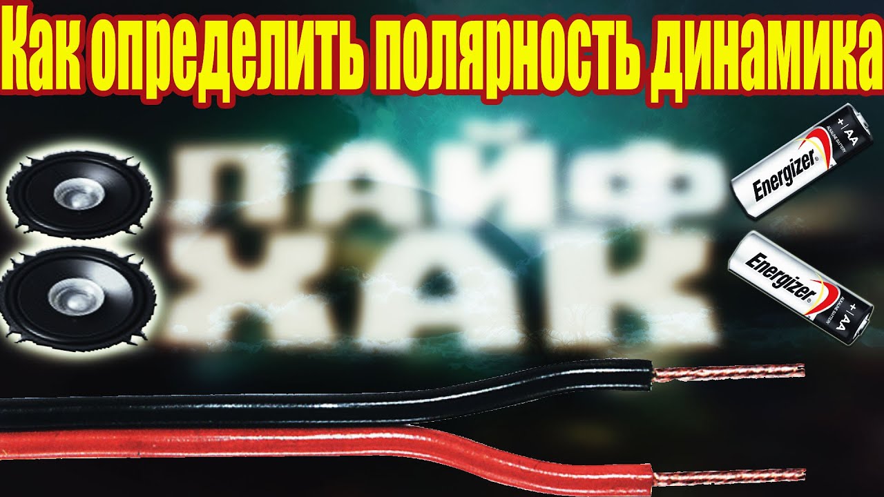 ЛАЙФХАК | Как определить полярность динамика | СХЕМА - YouTube