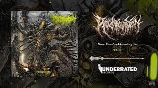 Reconfiguration - FGR (2019)