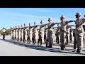 A Journey Through Marine Corps Boot Camp - Week 12