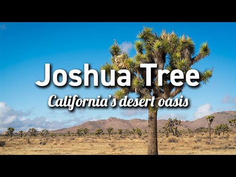 Joshua Tree National Park (California) - How to visit & what to see