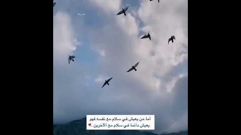 حالات واتس||القارئ/عبدالرحمن مسعد||سورة/ابراهيم||تصاميم قران||انستقرام||استوري||مقاطع قصيرة