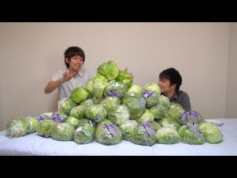 レタス100玉食ってみた　I eat 100 lettuce