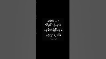 سورة التحريم القارئ #سعد_الغامدي