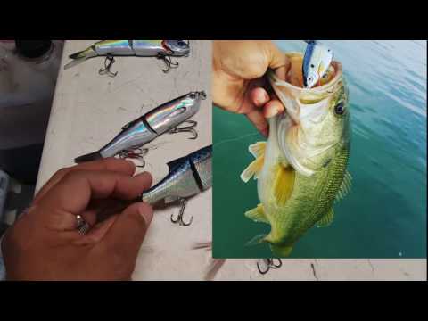 Swimbaits: Savage Gear Shine Glide & 3D Glide Swimmer - Getting  DESTROYED!!! 