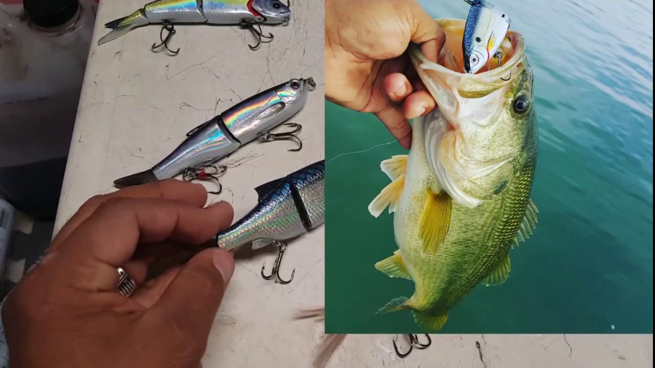 Swimbaits: Savage Gear Shine Glide & 3D Glide Swimmer - Getting