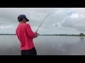 Sight casting tarpon with Gong Lei
