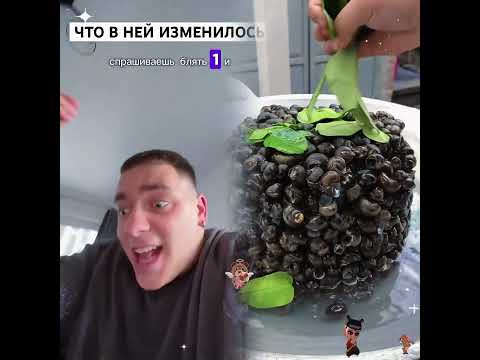 Viral Collaboration with KENNYCHGOGANSKY! Everyone's Talking About It!'