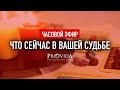 ЧАСОВОЙ ЭФИР "Что сейчас в вашей судьбе? Чего ждать в конце года?"