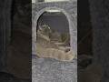 Katzenliebe im Doppelpack