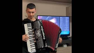 Crna ruza❤️🪗 #halidbeslic #crnaruza #harmonika #narodnamuzika #balkan #foryou #cover #accordion