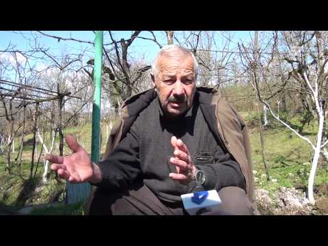 გუმათჰესის ხიდი \"დროის საფრთხე\"