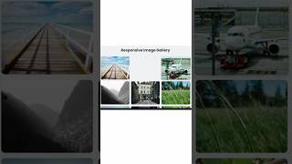 Tricks : 14/100 Responsive Image Gallery | HTML CSS #CSSFlexbox #ResponsiveDesign #WebDesign #Shorts
