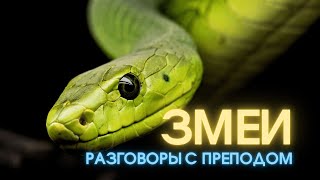 Биология. Змеи