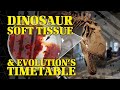 Dinosaur Soft Tissue & Evolution's Timetable
