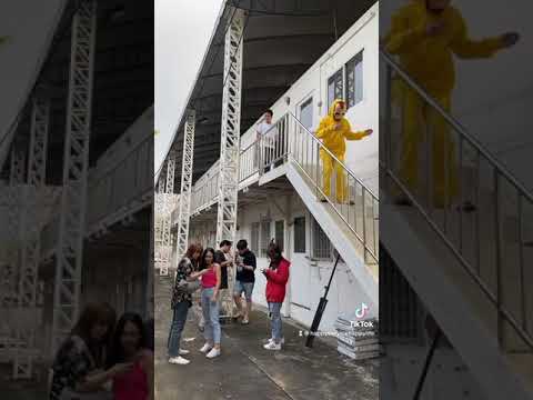 Harlem Shake
