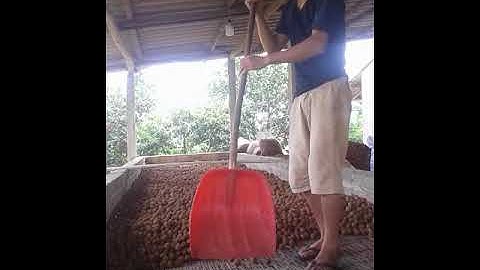 Kỹ thuật sấy vải  hàng tròn