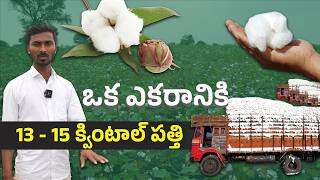 Dr. Soil తో అద్భుత ఫలితం! ఖర్చు సగం, దిగుబడి డబుల్ | Cotton