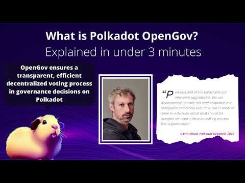 What is OpenGov Explained in under 3 Minutes