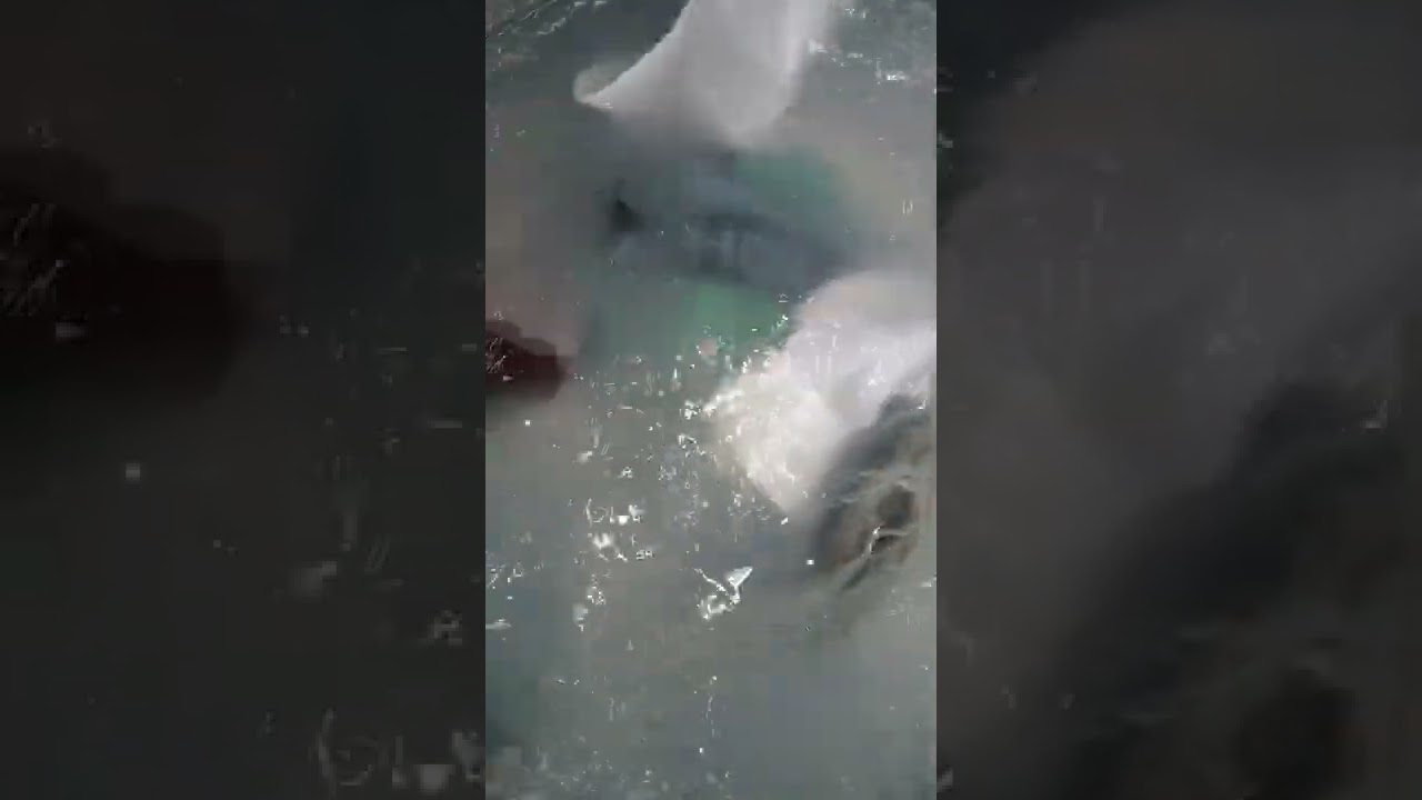 LAVARROPAS ELECTROLUX 10KG ELAC310W