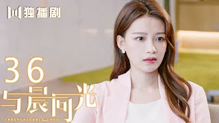 【FULL】与晨同光36 | Irreplaceable Love 36（白敬亭＆孙怡）