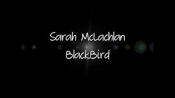 Blackbird- Sarah McLachlan + Lyrics