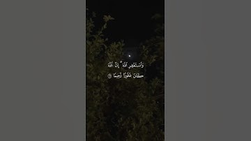 تلاوة من القرآن الكريم بصوت الشيخ ياسر الدوسري | سورة النساء من آية ١٠٦ إلى آية ١٠٧ | تلاوة عطرة