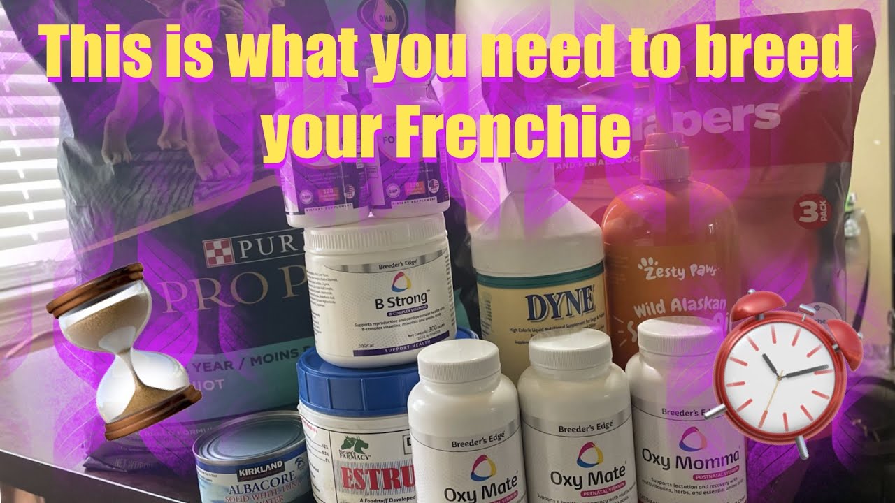 What supplements to give your dog in Heat Progesterone testing day 2