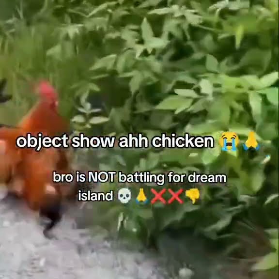 Chicken BFB Ahh Dream Islam #bfdi