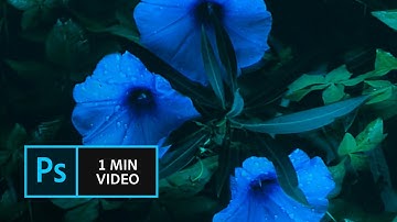 How to use Camera Shake Reduction in Photoshop