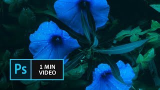 How to use Camera Shake Reduction in Photoshop