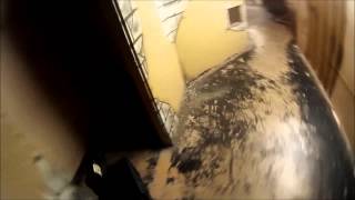 Airsoft at Battlefield Sports CQB 04.04.15