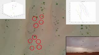 Famous A Minimalistic 3D Self-Organized UAV Flocking Approach for Desert Exploration Net Worth