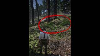 This Is Why RDR2 Still Beats New Games in 2026 😳 #rdr2 #arthurmorgan#rdr2details  #rdr2fans #gaming