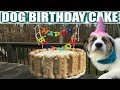 DOG BIRTHDAY CAKE || Birthday Cake Edible for your pup!