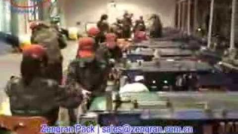 VFS5000F Automatic Maize Packing Line in Pioneer Seeds - Zengran Packaging