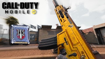 "Pinpoint Perk" - Legal Aimbot 🥶 (Not The Techtonic Build lol)