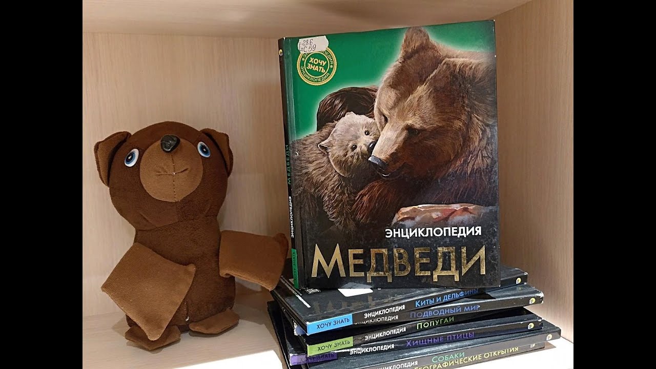 Обзор энциклопедии «Медведи» из серии «Хочу все знать» - YouTube