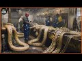 How a farmer makes 2 million dollars from python skin  snake farm  processing factory