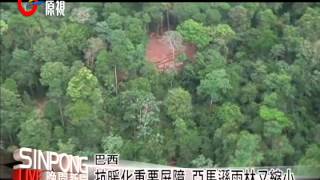 地球之肺亞馬遜雨林砍伐量增加20131115