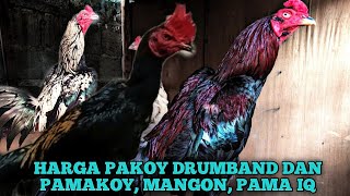PRICE OF CHICKEN PAKOY DRUMBAND, MANGON, PAMAKOY, IN THE CAGE ARKANA MINIROSTER