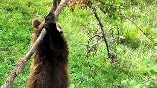 Urs+ Berna Buddeln.MP4