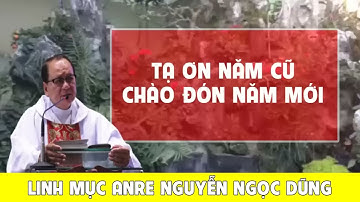 Cần Phải Làm Gì Trong Những Ngày Đầu Năm Mới. Bài Giảng rất hay của Cha Andre Nguyễn Ngọc Dũng.