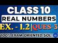 Class 10 Maths - Exercise 1.2 | Real Numbers | Question 3 NCERT Solution