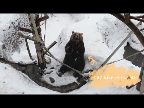 登別熊牧場 クマに餌あげてみた ♯2