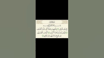 سورة قريش - الشيخ محمد الفقيه #القرآن_الكريم #اكسبلور #الاطفال #اكسبلورهاشتاقات