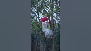 Kuntilanak merah tertawa #short #funny #viral
